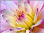J�sus a donn� sa vie pour toi et moi ...♥♥♥